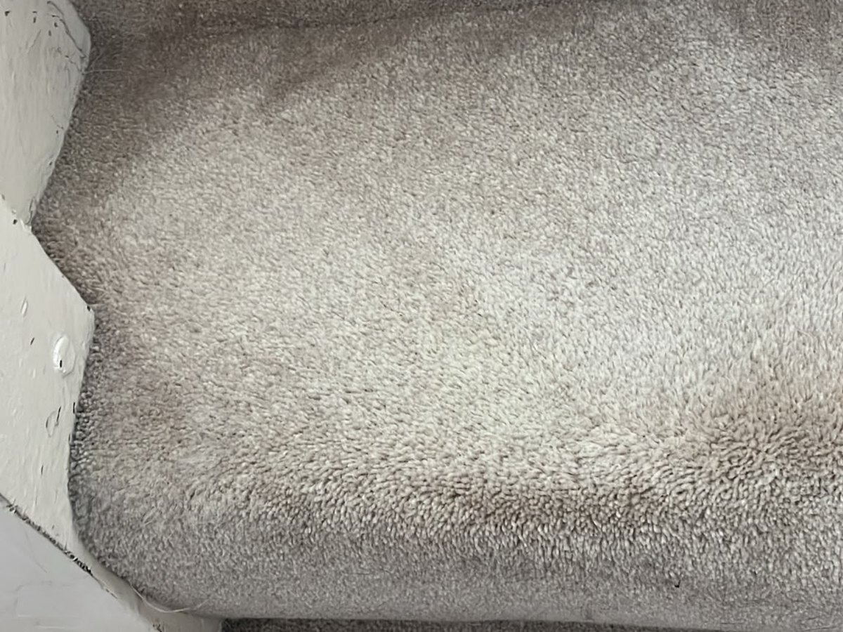 The same stair carpet after cleaning. Blood lifted clean