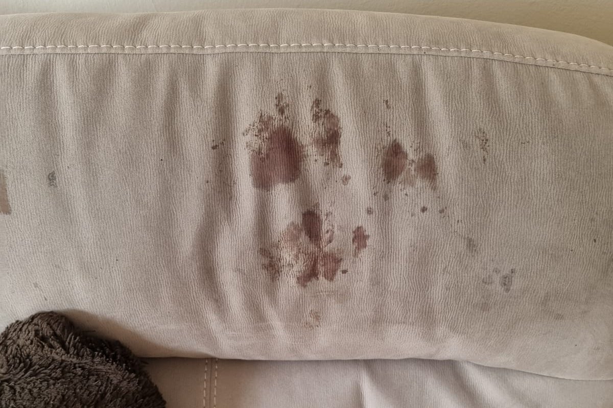 Bloody paw prints on a grey sofa before cleaning by Jay's Cleaning