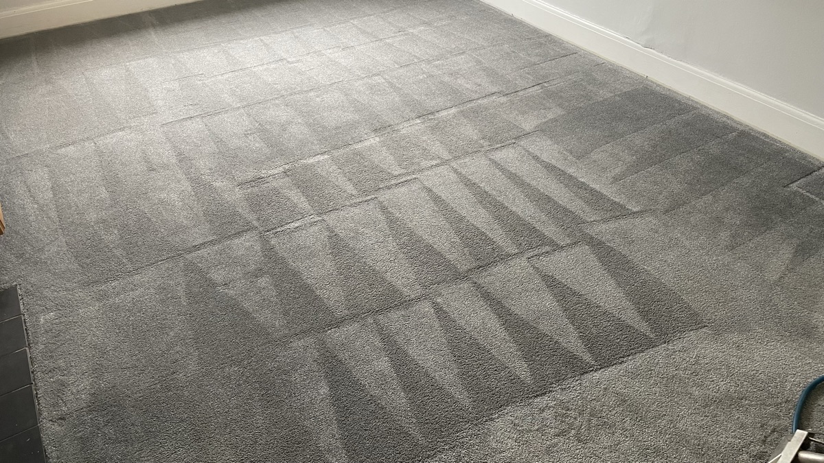 Carpet being deep-cleaned in a Watford home