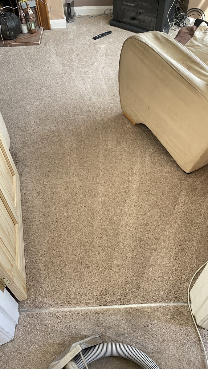 Clean bedroom carpet