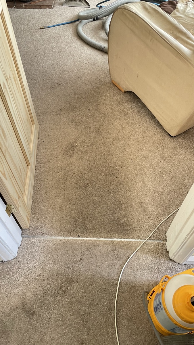 The same carpet before cleaning — soiled and worn