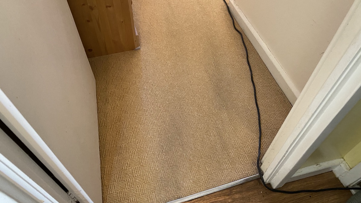 A carpet after professional cleaning by Jay's Cleaning in Edgware
