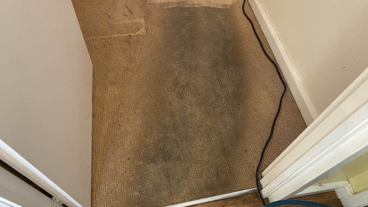 The same carpet before cleaning — soiled and worn