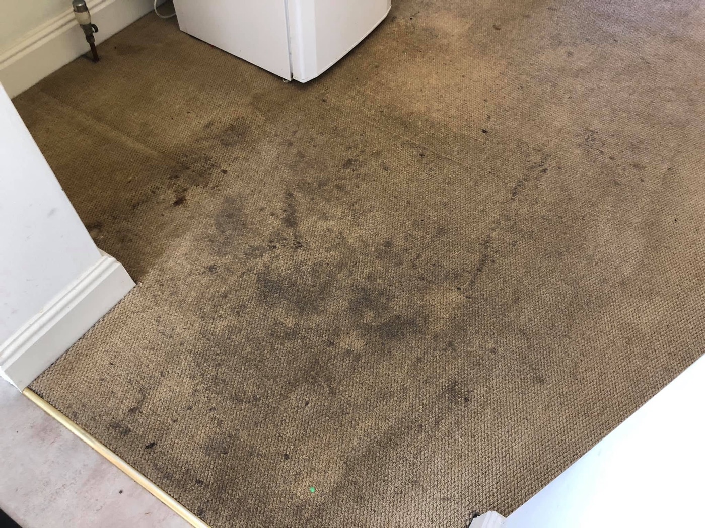 The same carpet before cleaning — badly soiled and stained