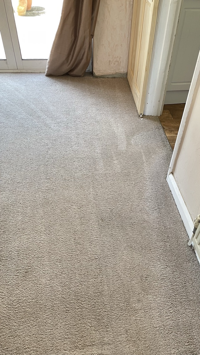 Clean living room carpet