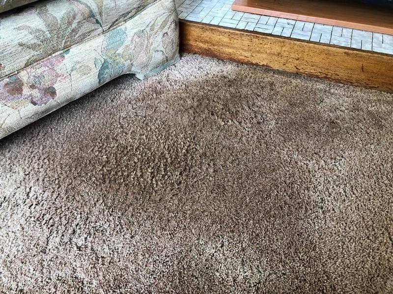After: the same lounge carpet after our deep clean, grease gone