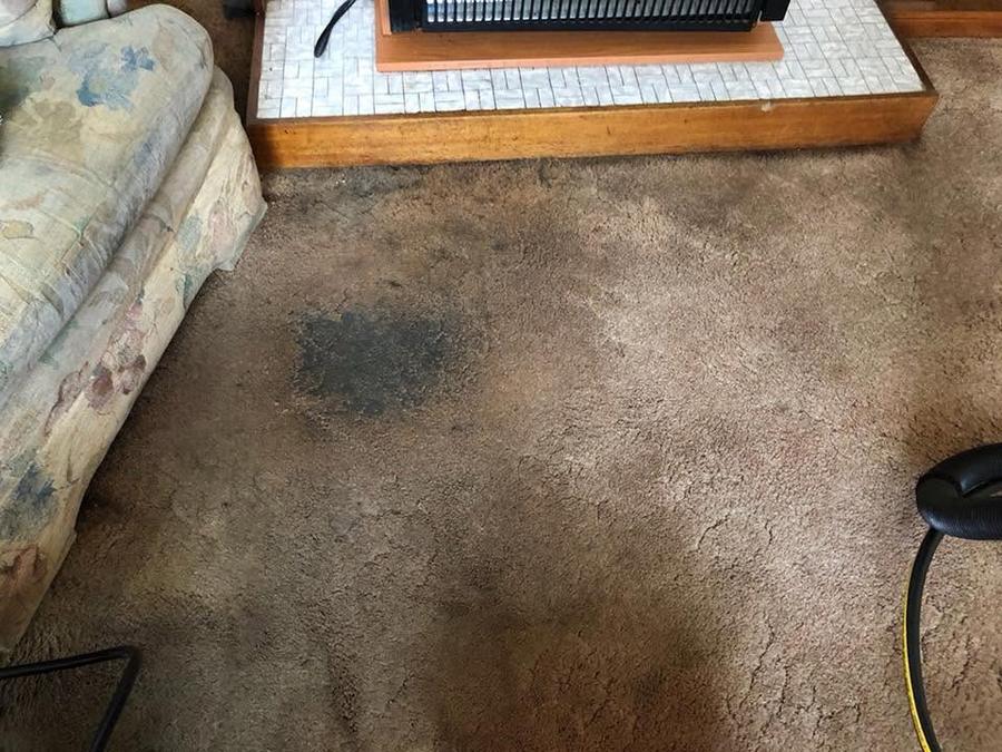 Before: a heavily greasy lounge carpet with a black grease patch