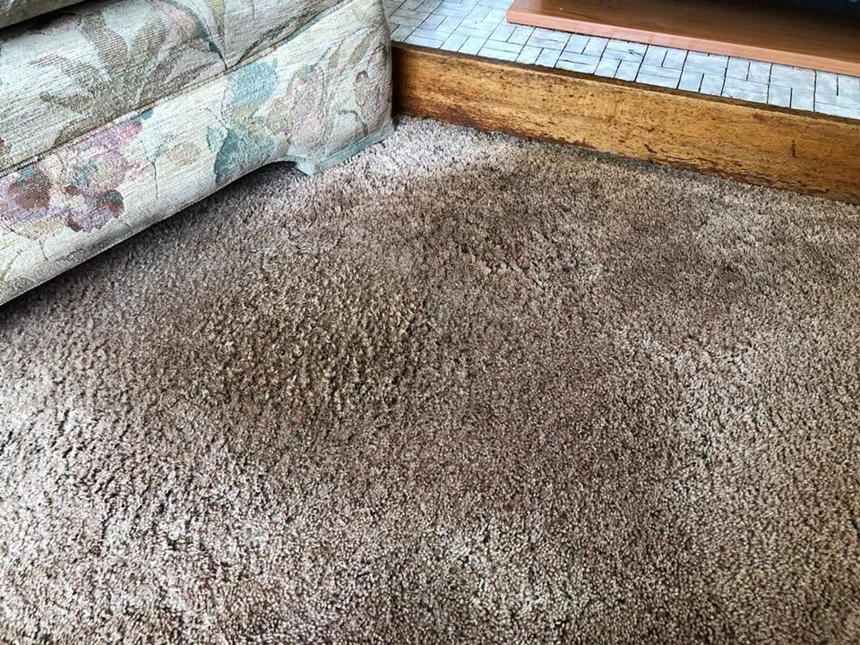 A carpet after professional grease stain removal by Jay's Cleaning