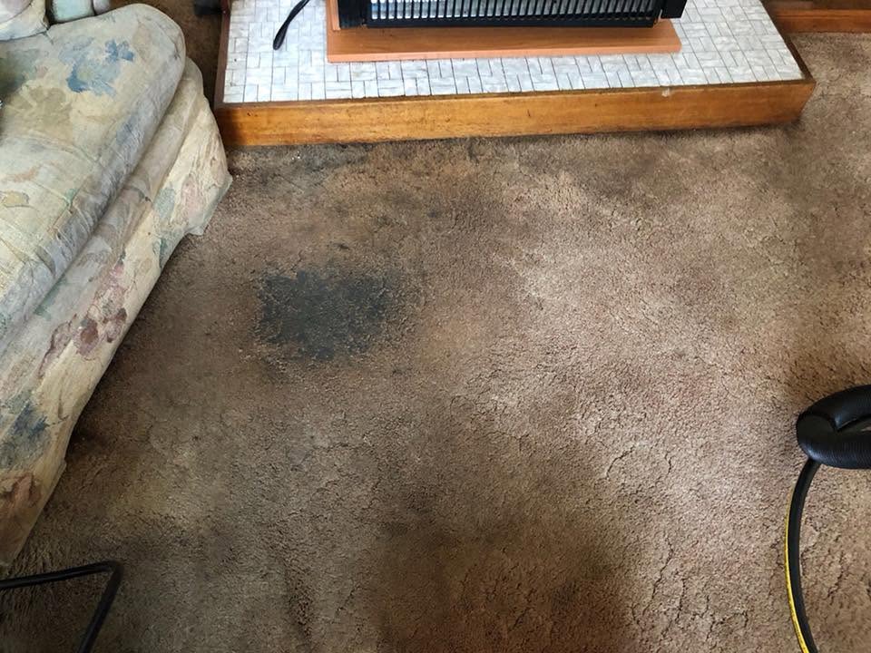 The same carpet before cleaning — a dark grease stain