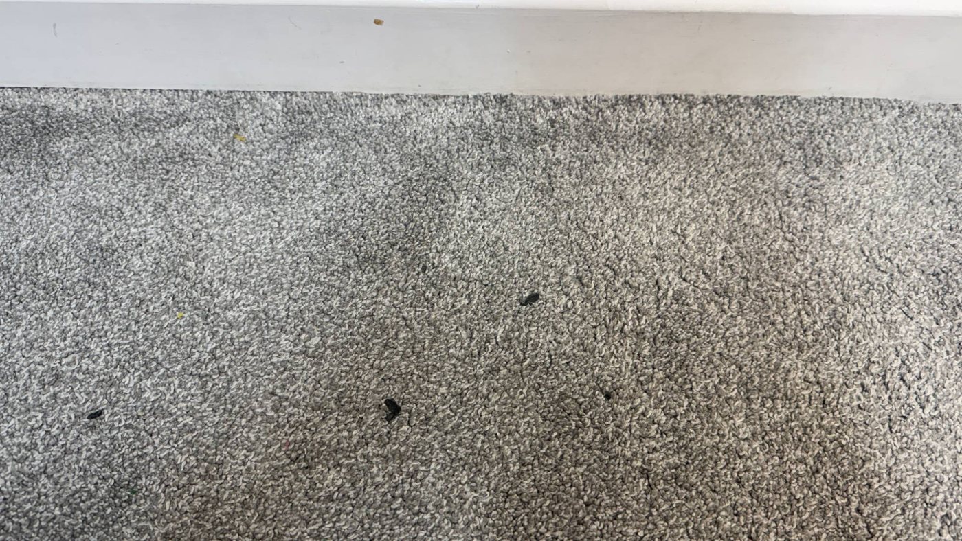 Chewing gum trodden into a grey carpet before cleaning