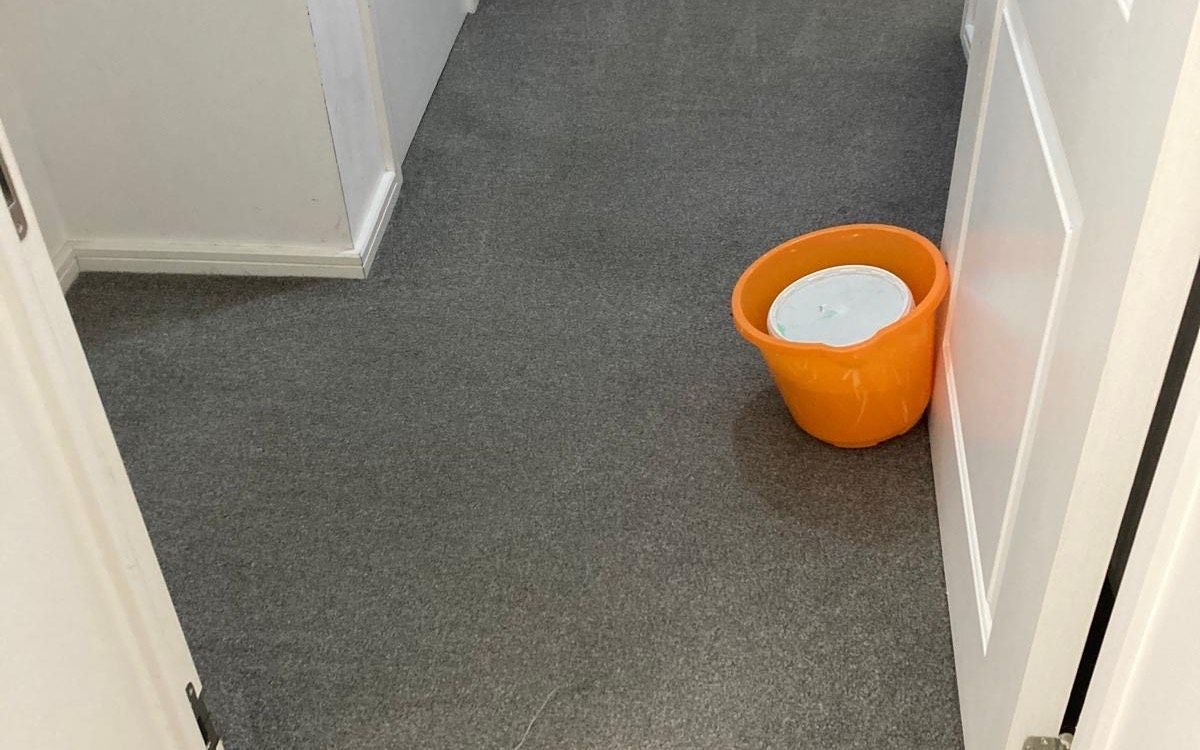 A carpet after professional cleaning by Jay's Cleaning