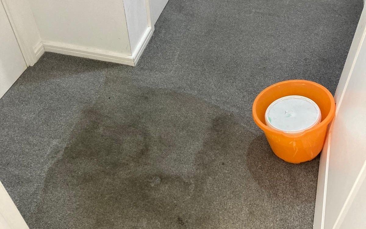 The same carpet before cleaning, soiled and worn