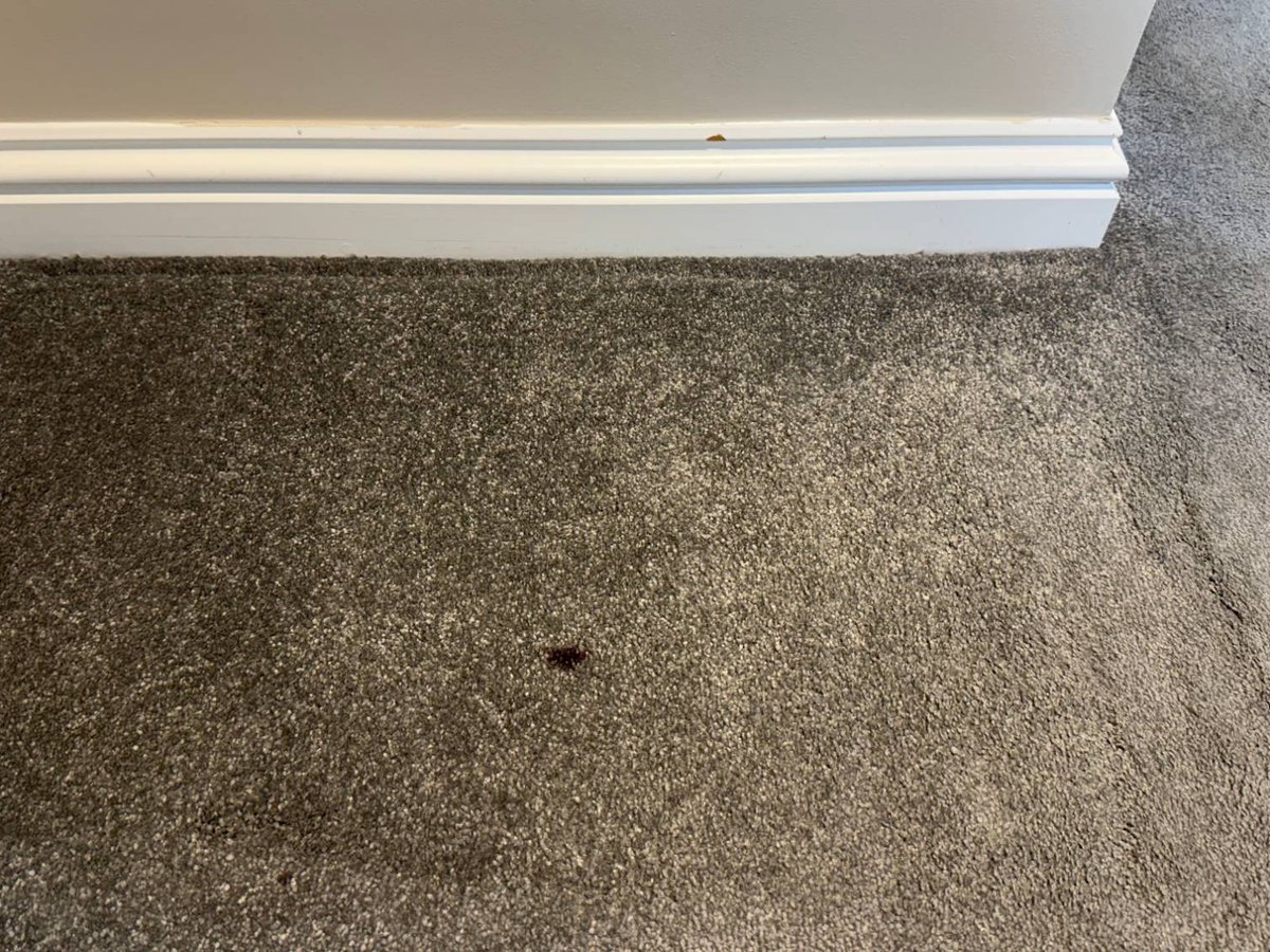 A red ink mark on a grey carpet before cleaning