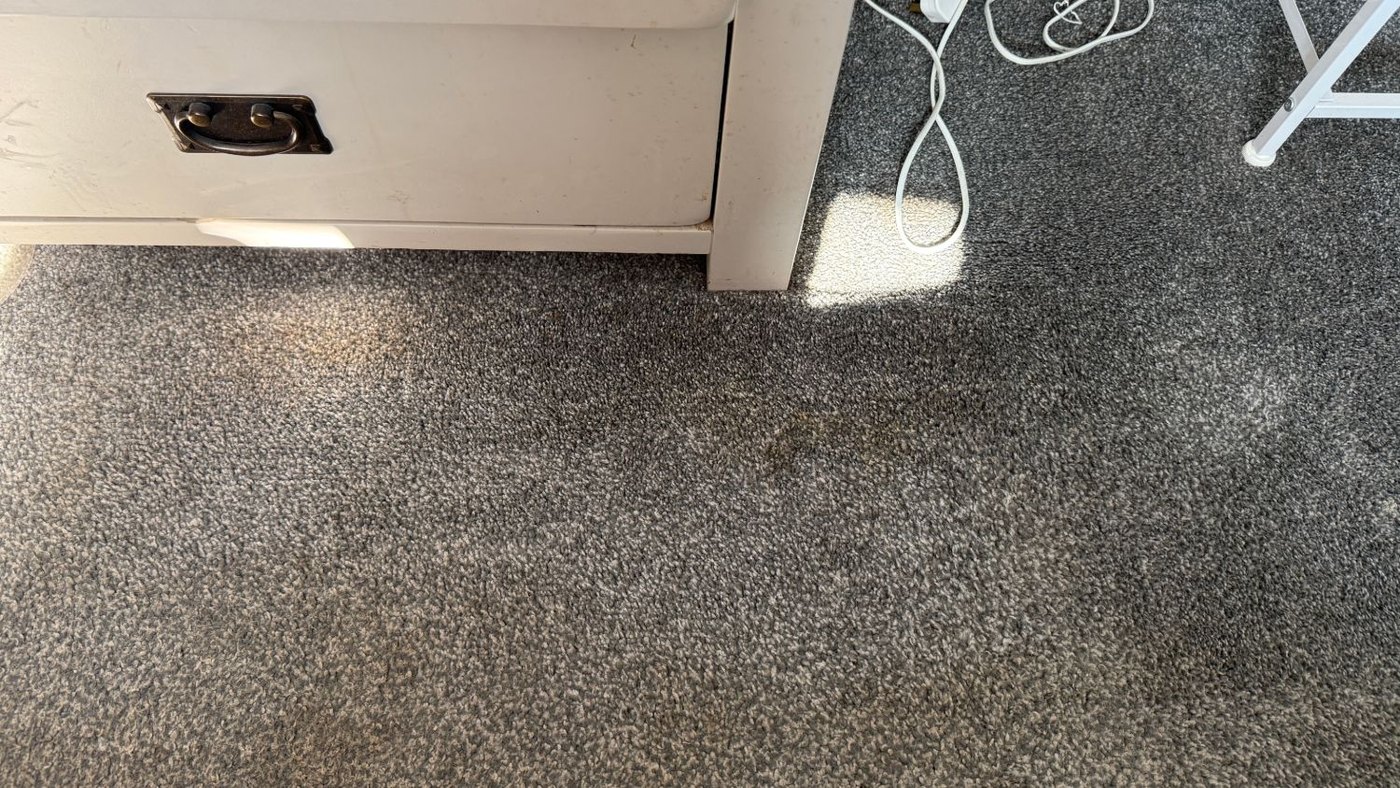 After: the same grey carpet with the fruit juice stain fully removed