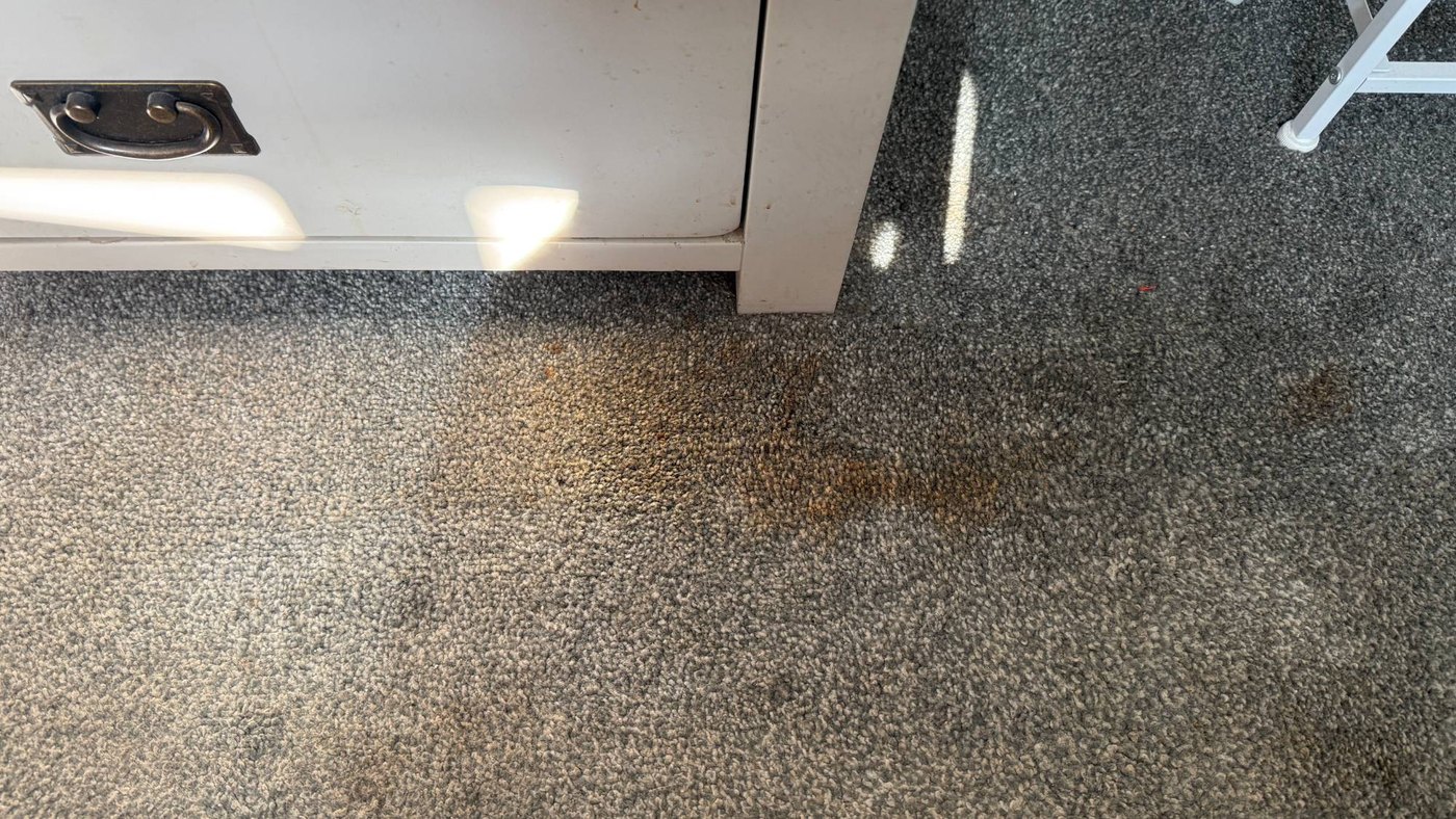 Before: an orange fruit juice stain spreading across a grey carpet