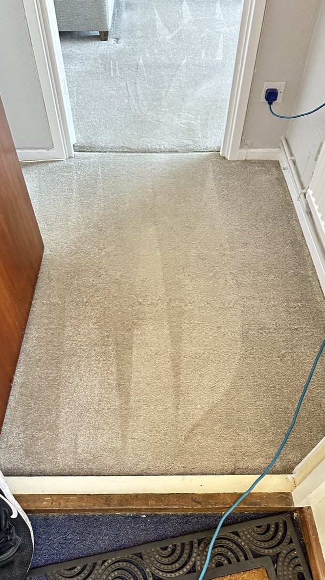 The same landing carpet after hot-water-extraction cleaning. Clean and bright again