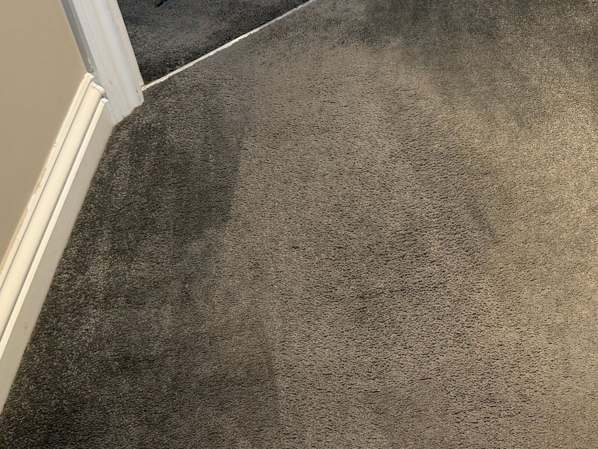 The same grey carpet with the white paint removed