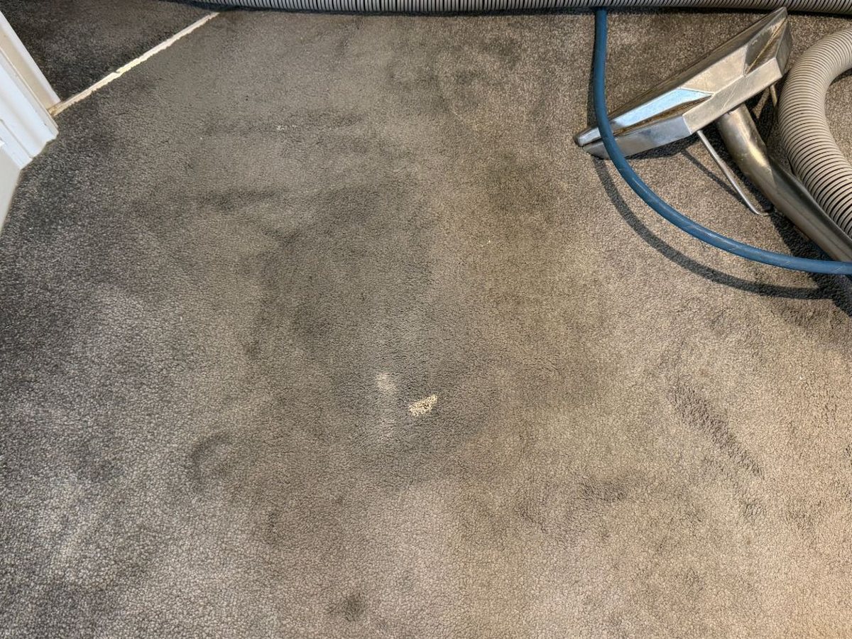 White paint spilt on a grey carpet before cleaning
