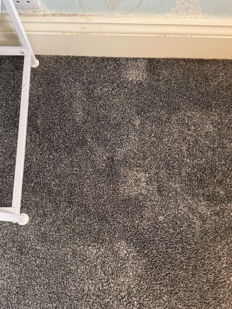 After: the same carpet with the sun cream stain removed by Jay's Cleaning