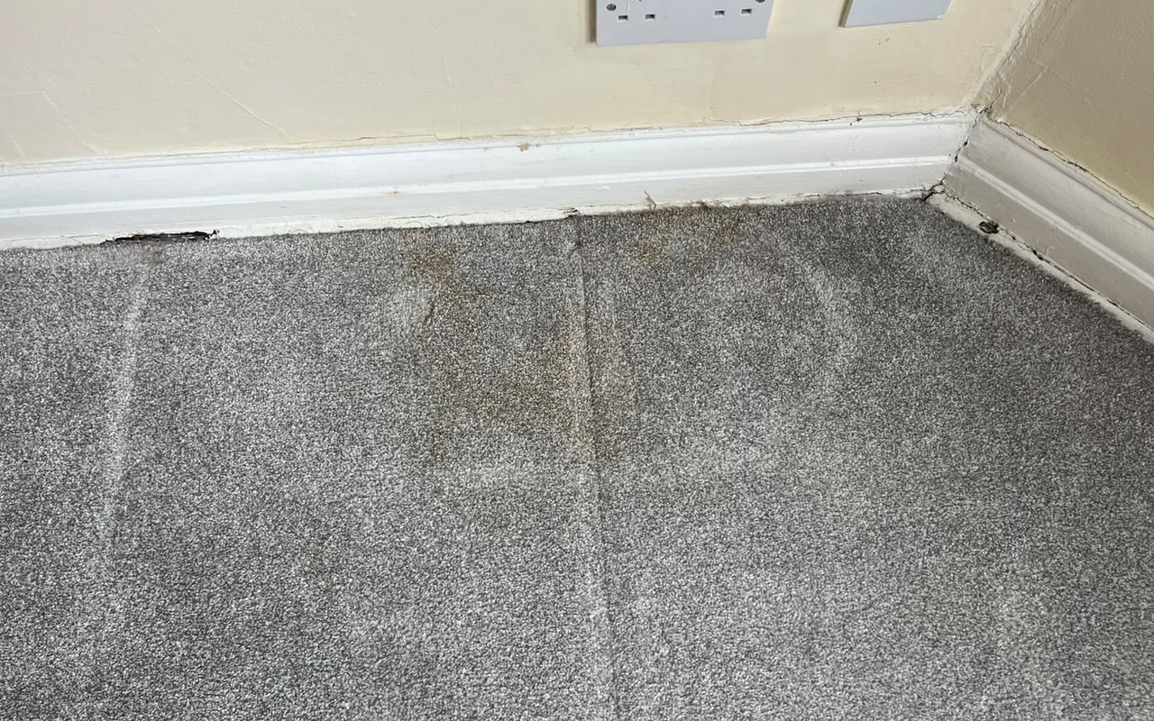 A tea stain on a grey carpet before cleaning by Jay's Cleaning